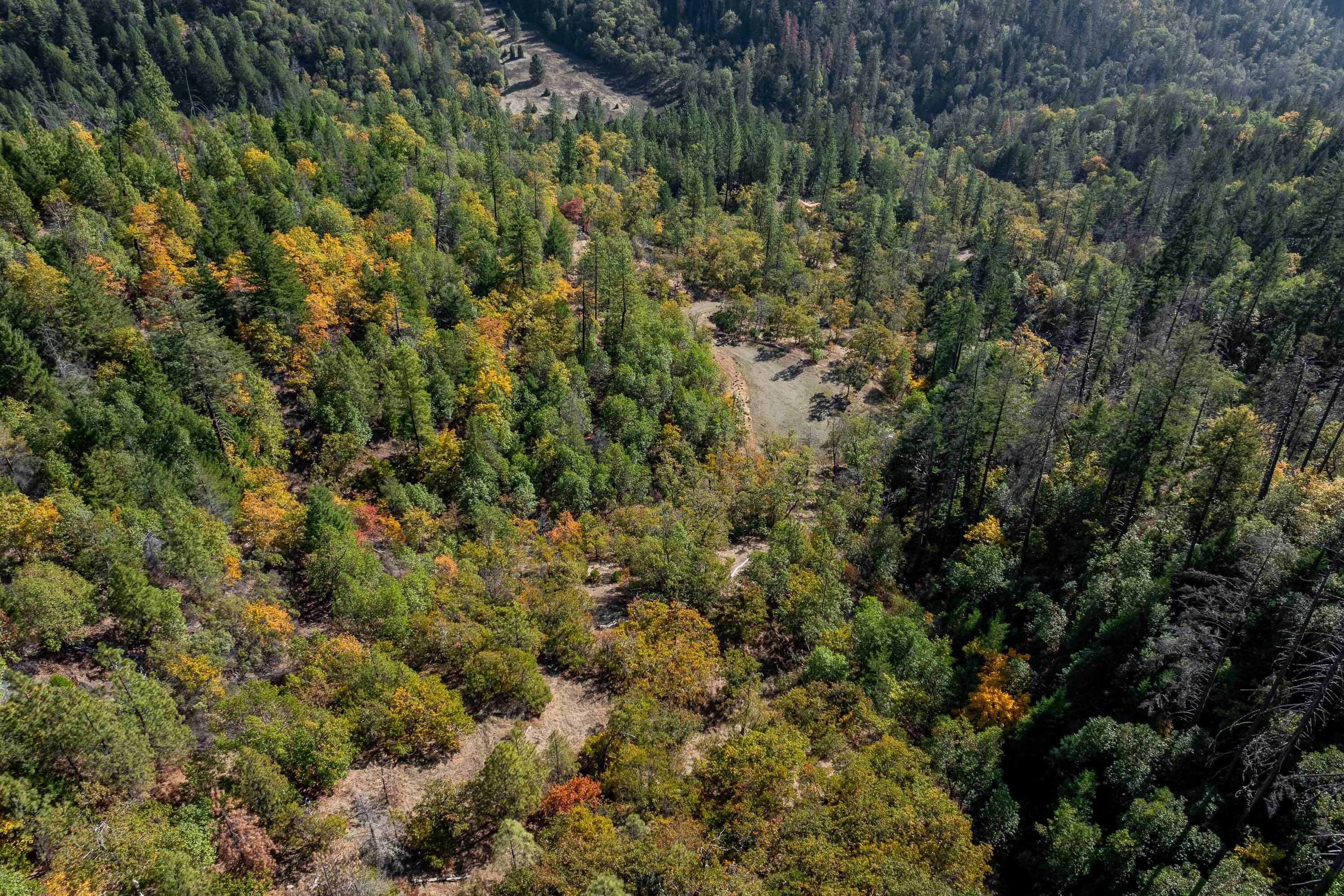 0 Sardine Creek Road Gold Hill, OR 97525 - Photo 8 of 20 DRONE (7 of 10)