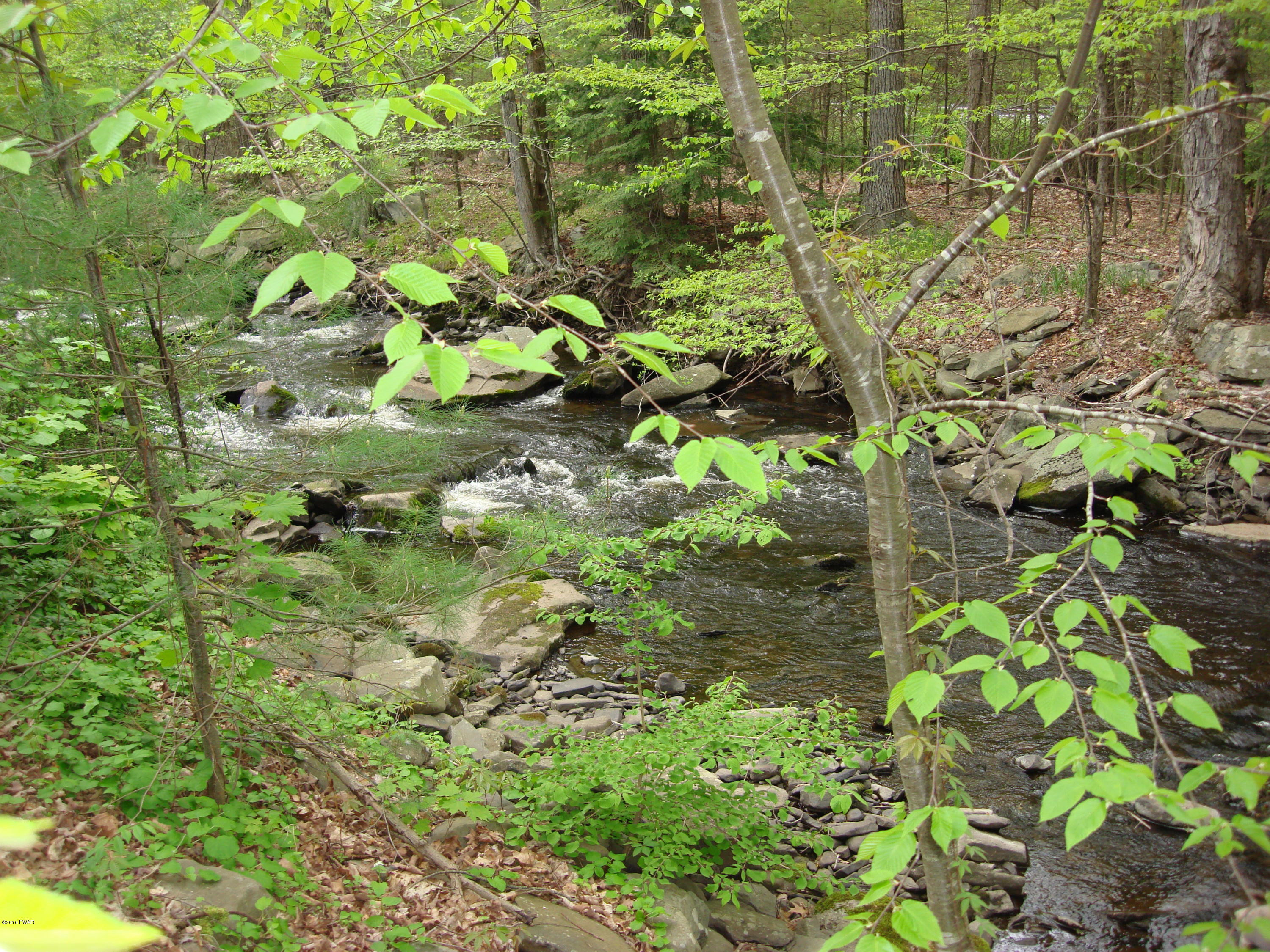 271 A Silver Lake Road Dingmans Ferry, PA 18328 - Photo 5 of 74