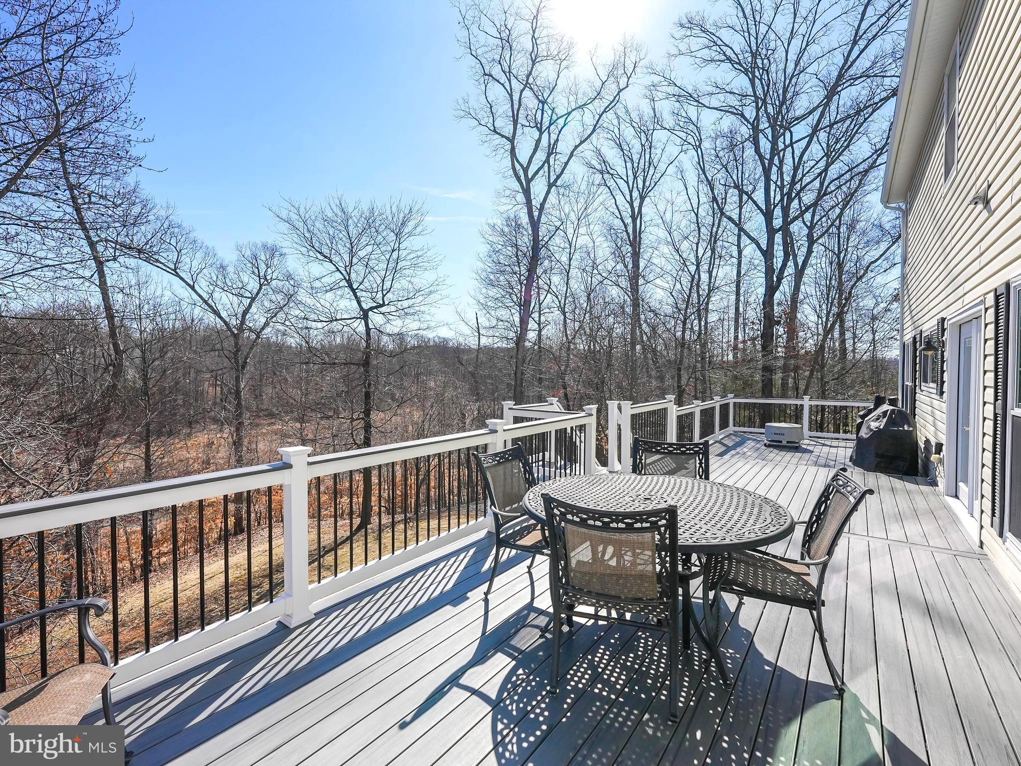 17583 Summer Duck Drive Dumfries, VA 22026 - Photo 16 of 49 a view of a chairs and table on the deck
