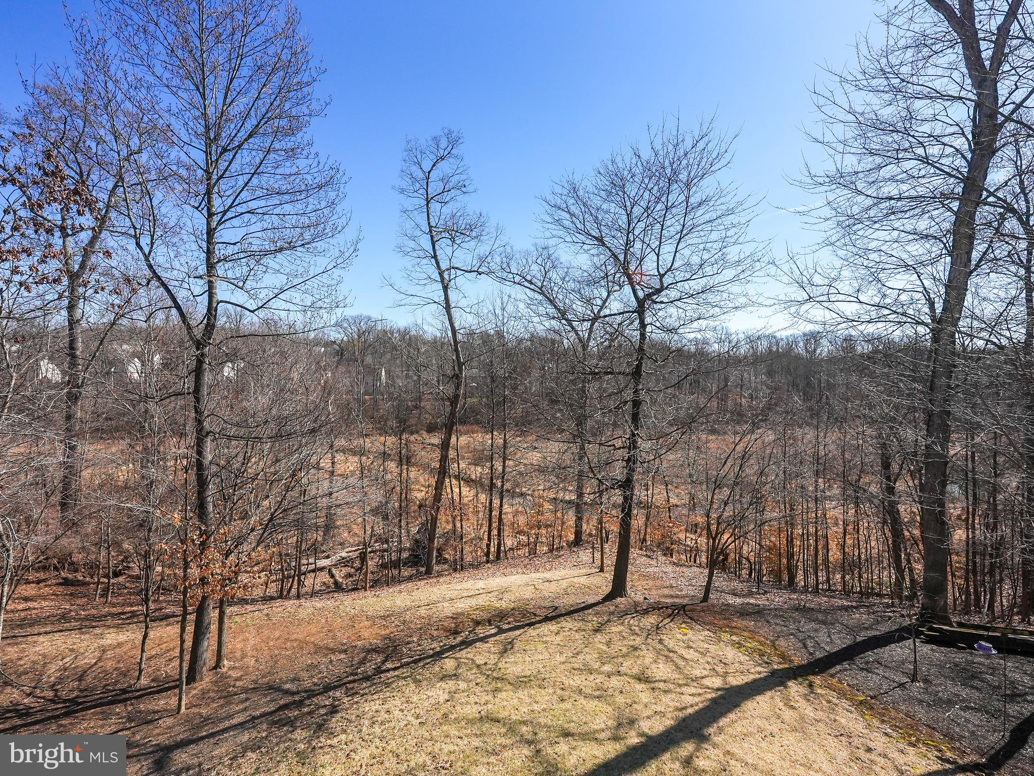 17583 Summer Duck Drive Dumfries, VA 22026 - Photo 46 of 49 a view of a yard with trees