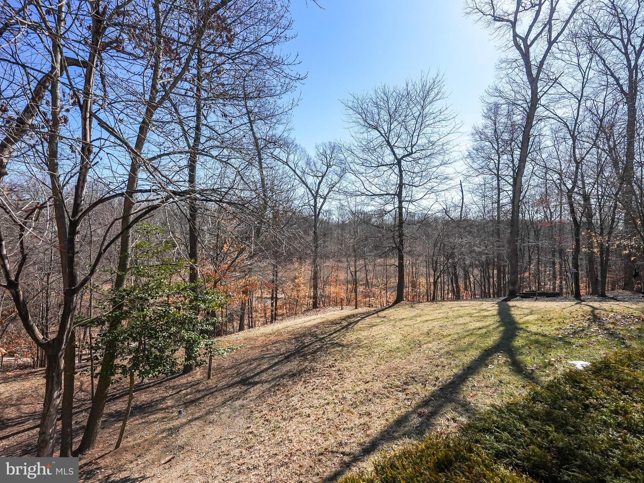 17583 Summer Duck Drive Dumfries, VA 22026 - Photo 47 of 49