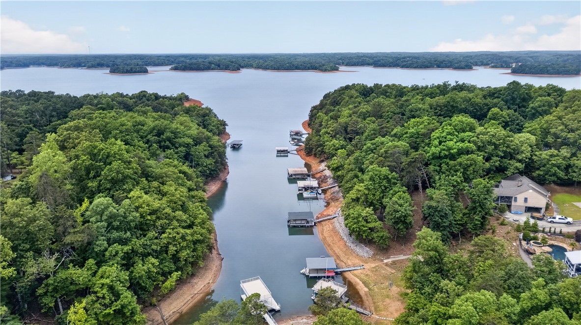 206 James Hare Road Anderson, SC 29626 - Photo 5 of 37 A tranquil lakefront property featuring multiple private docks nestled among lush, mature trees.