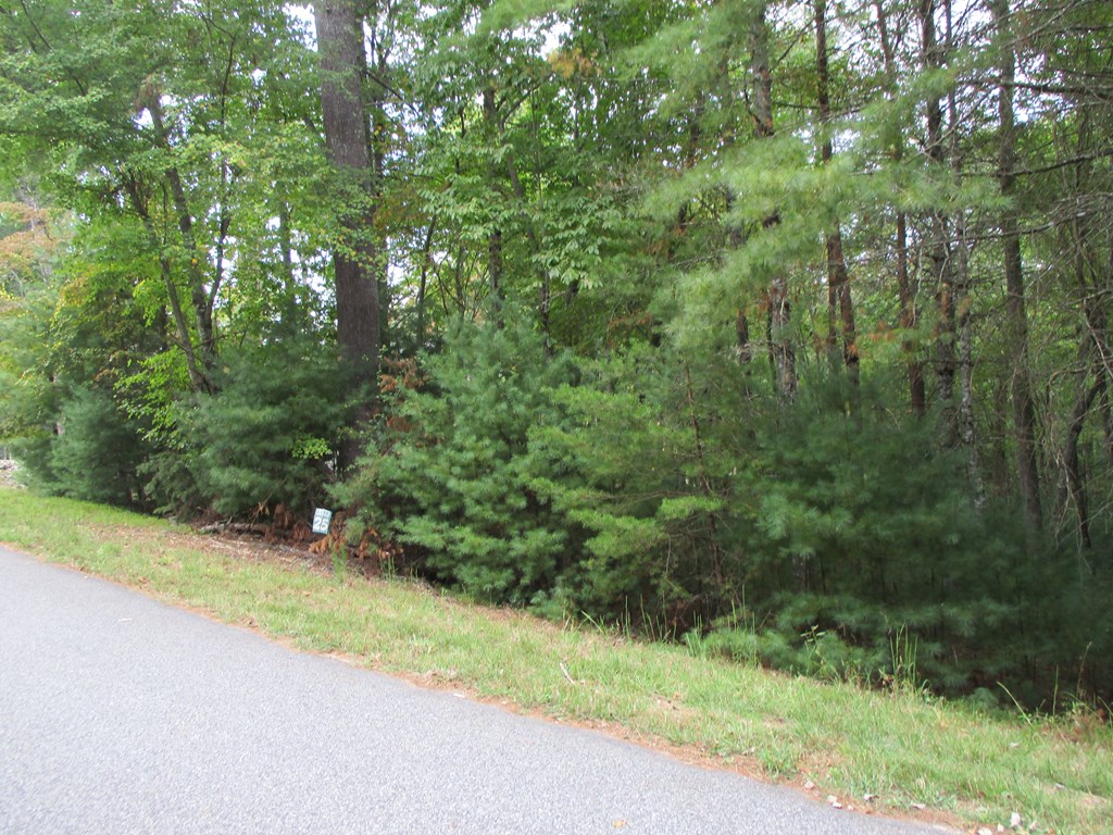 Lot 25 Byers Road Blairsville, GA 30512 - Photo 2 of 6