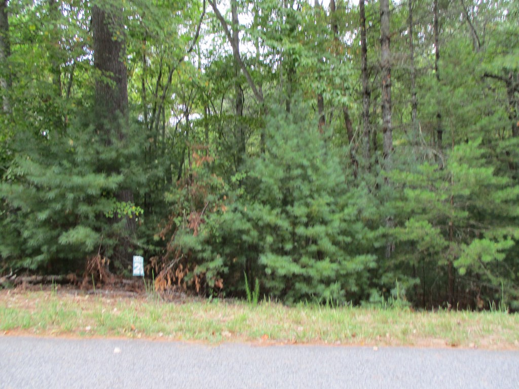 Lot 25 Byers Road Blairsville, GA 30512 - Photo 3 of 6