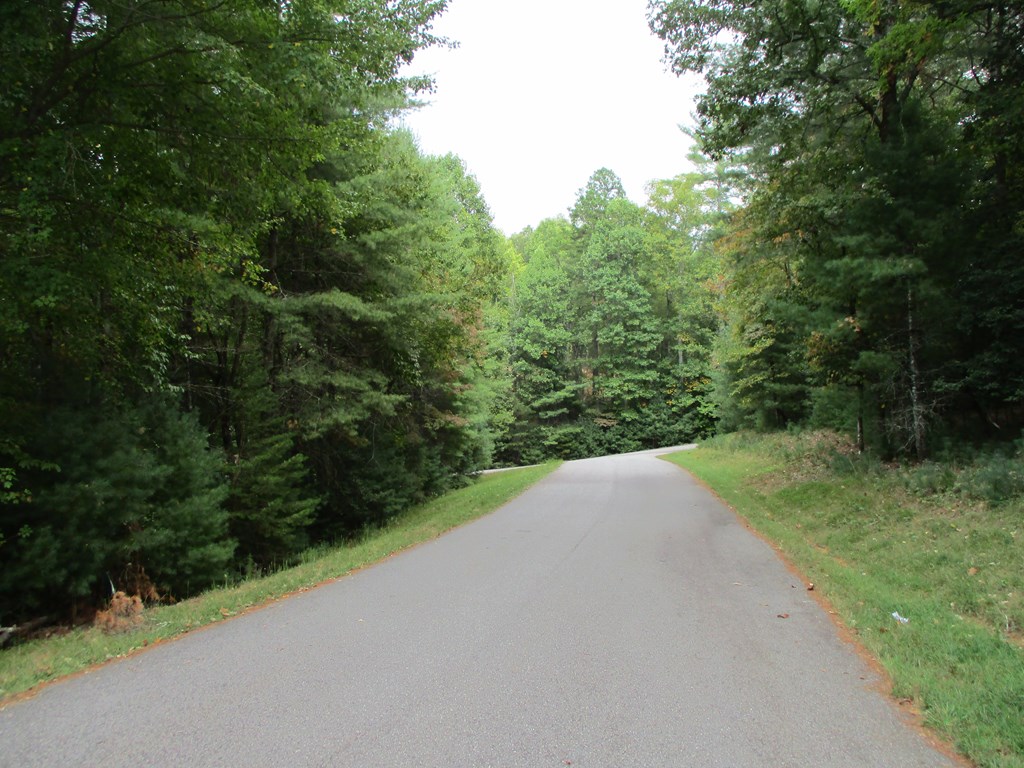 Lot 25 Byers Road Blairsville, GA 30512 - Photo 4 of 6