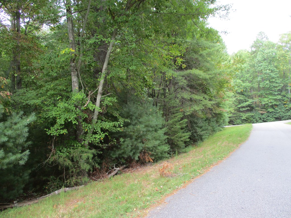 Lot 25 Byers Road Blairsville, GA 30512 - Photo 5 of 6