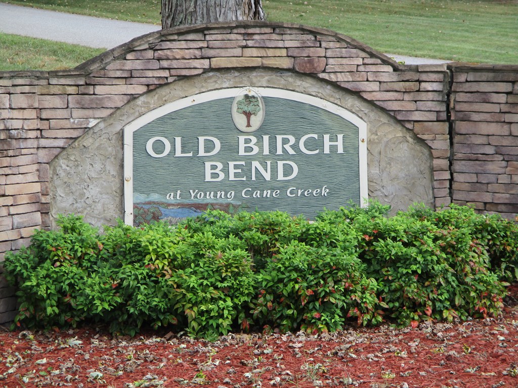 Lot 25 Byers Road Blairsville, GA 30512 - Photo 6 of 6