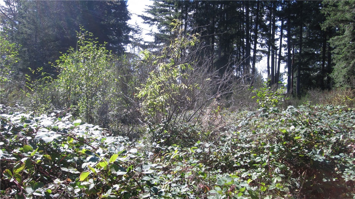 13735 Glenwood Road Southwest Port Orchard, WA 98367 - Photo 13 of 14