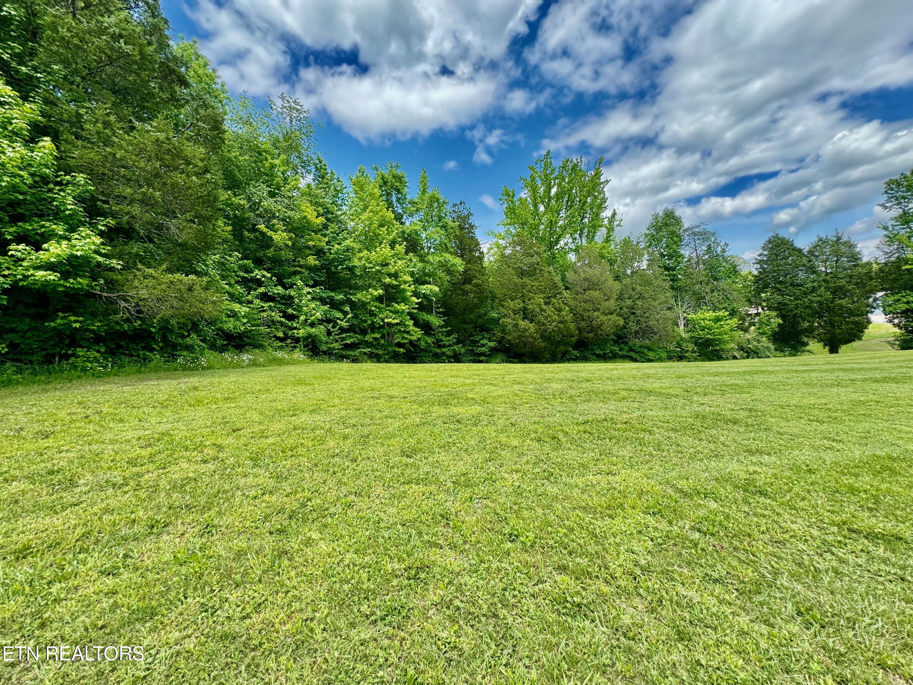 3678 Buttermilk Road West Kingston, TN 37763 - Photo 12 of 60 16