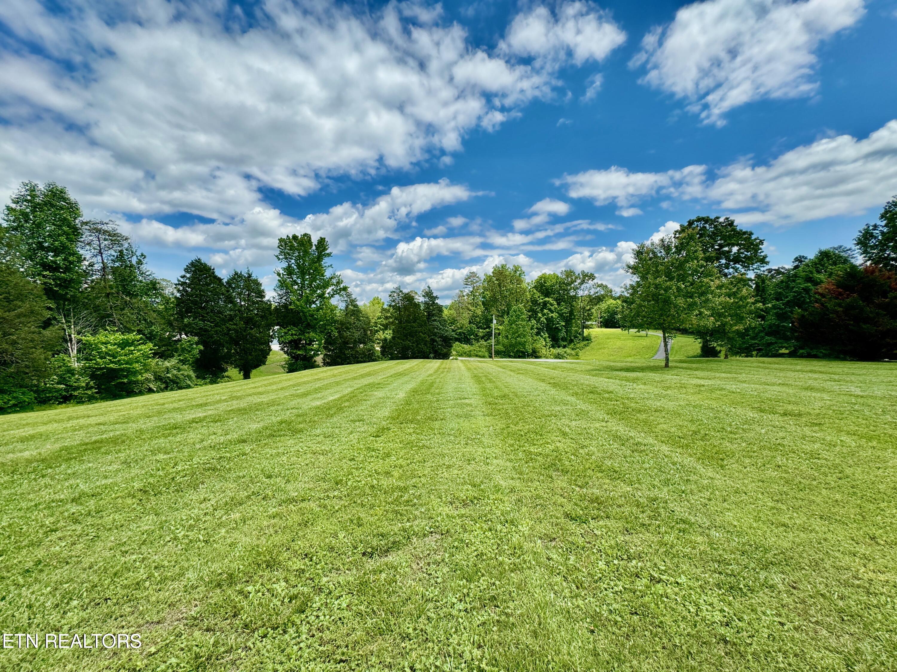 3678 Buttermilk Road West Kingston, TN 37763 - Photo 13 of 60 17