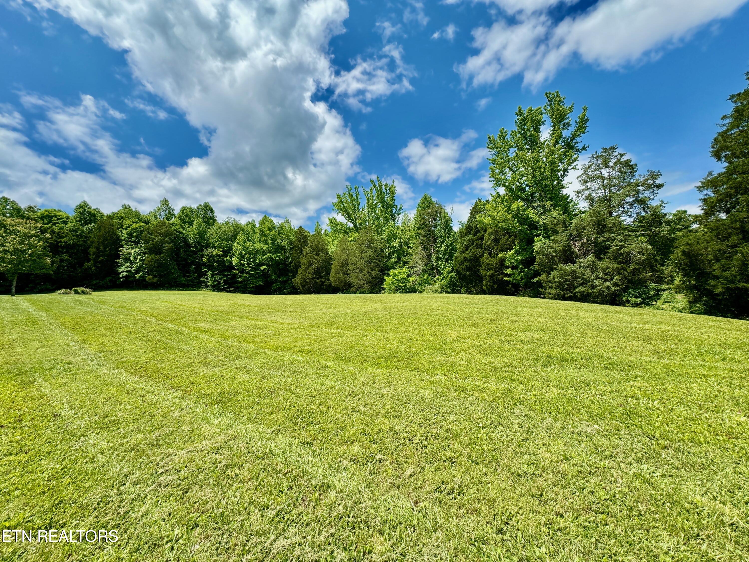 3678 Buttermilk Road West Kingston, TN 37763 - Photo 14 of 60 19