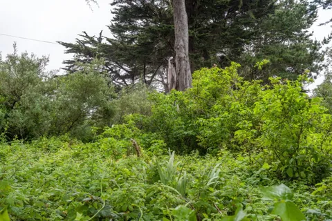 a backyard of a house with lots of green space and garden