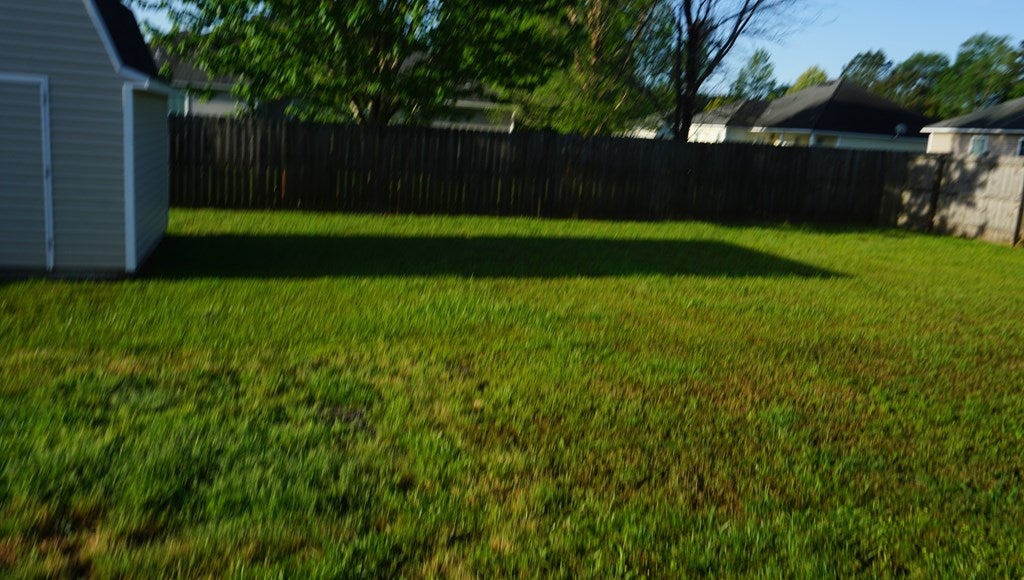3642 Tupelo Road Valdosta, GA 31605 - Photo 9 of 12 Gallery Image 9