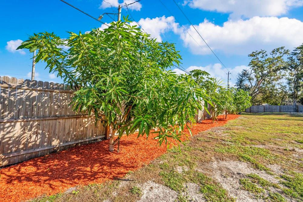 3808 Country Loop West Lakeland, FL 33811 - Photo 29 of 34