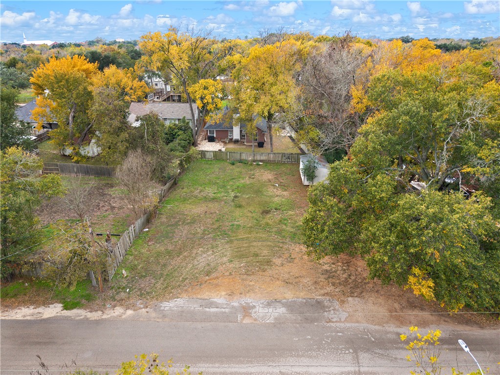1013 East 26th Street Bryan, TX 77803 - Photo 3 of 8 a view of a yard