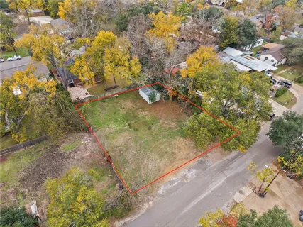 a view of a yard with plants