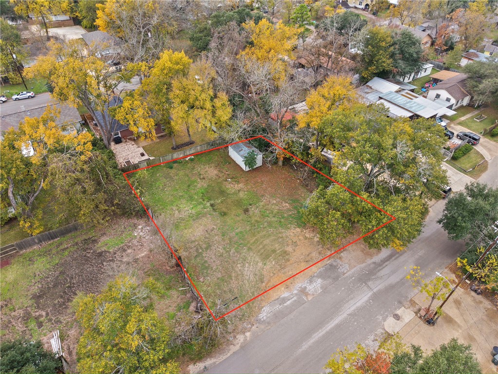 1013 East 26th Street Bryan, TX 77803 - Photo 8 of 8 a view of a yard with plants