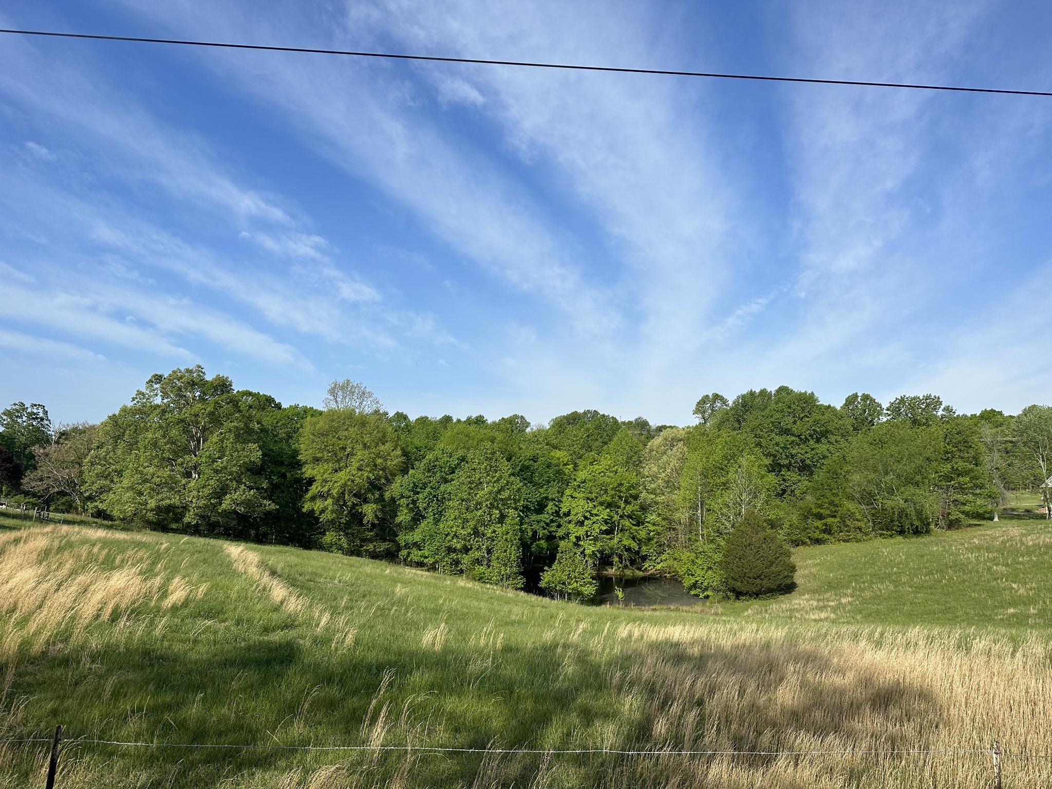 591 Keytown Road Portland, TN 37148 - Photo 2 of 7 a view of a big yard with trees in the background