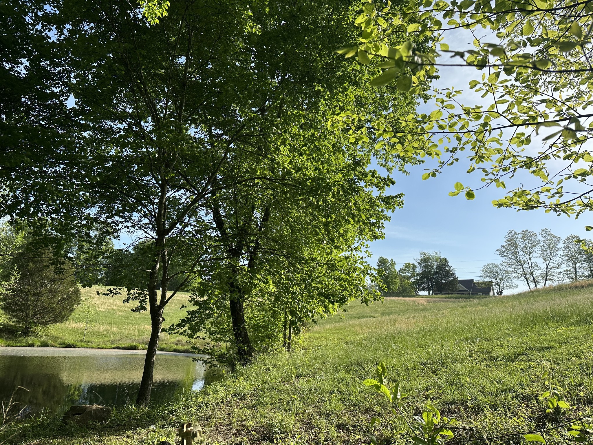 591 Keytown Road Portland, TN 37148 - Photo 4 of 7 a view of lake from balcony