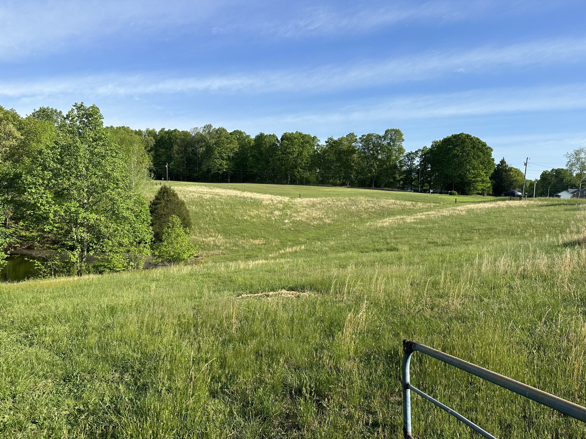 591 Keytown Road Portland, TN 37148 - Photo 6 of 7 a view of a green yard next to a yard