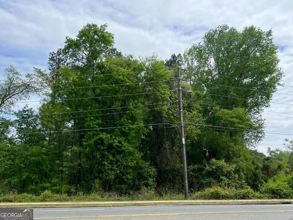 $110,000 | 0 South M L K Jr Boulevard, Americus, GA 31719