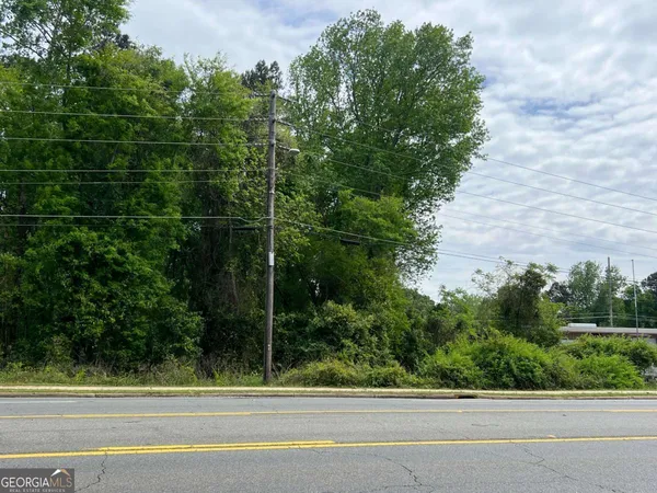 $110,000 | 0 South M L K Jr Boulevard, Americus, GA 31719