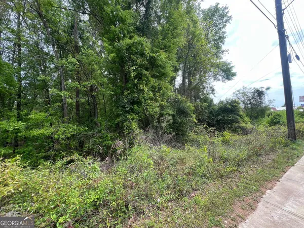 $110,000 | 0 South M L K Jr Boulevard, Americus, GA 31719