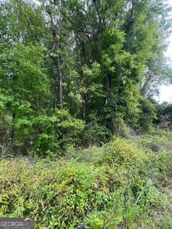 $110,000 | 0 South M L K Jr Boulevard, Americus, GA 31719