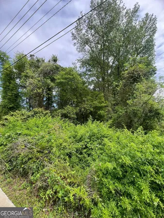 $110,000 | 0 South M L K Jr Boulevard, Americus, GA 31719