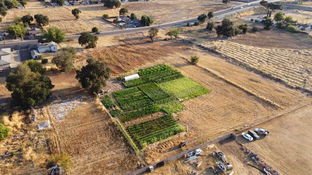 a view of a backyard of the house