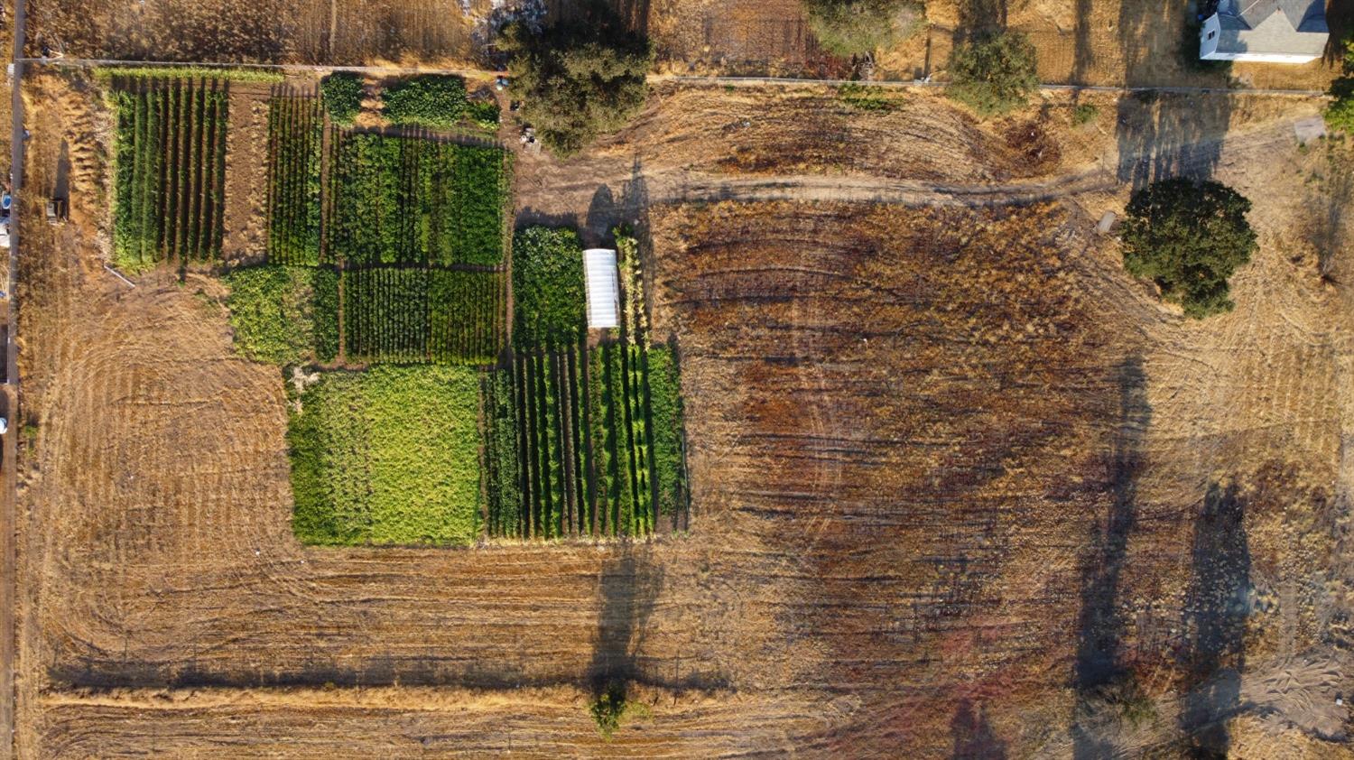 85 Silver Eagle Road Sacramento, CA 95838 - Photo 4 of 18