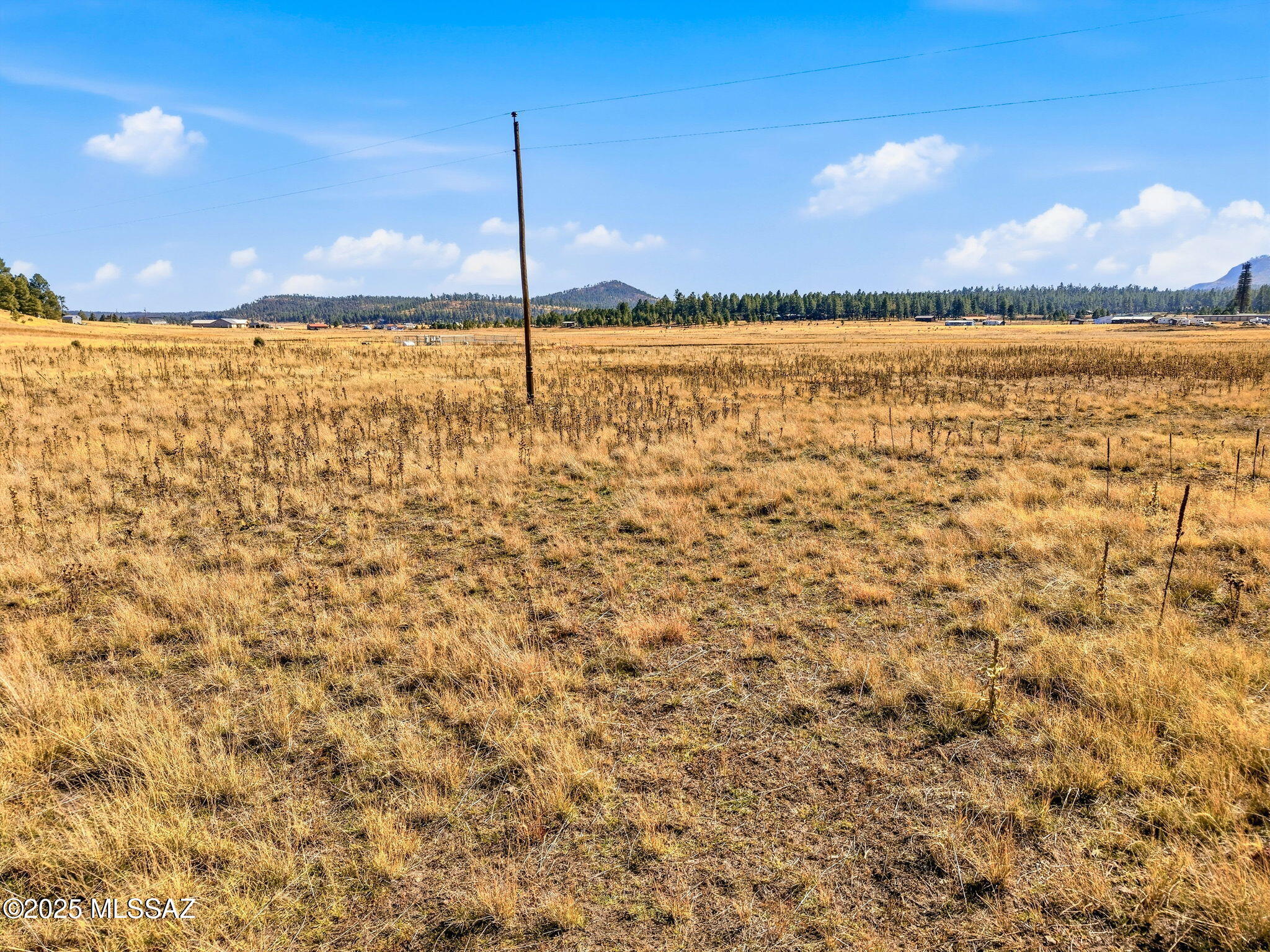 Lot 25 The Ranch, Unit 25 Alpine, AZ 85920 - Photo 15 of 21