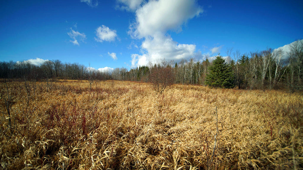 Lot 4.1 Lawlor Ridge Road Benedicta, ME 04733 - Photo 40 of 48 benedicta-me-land-26