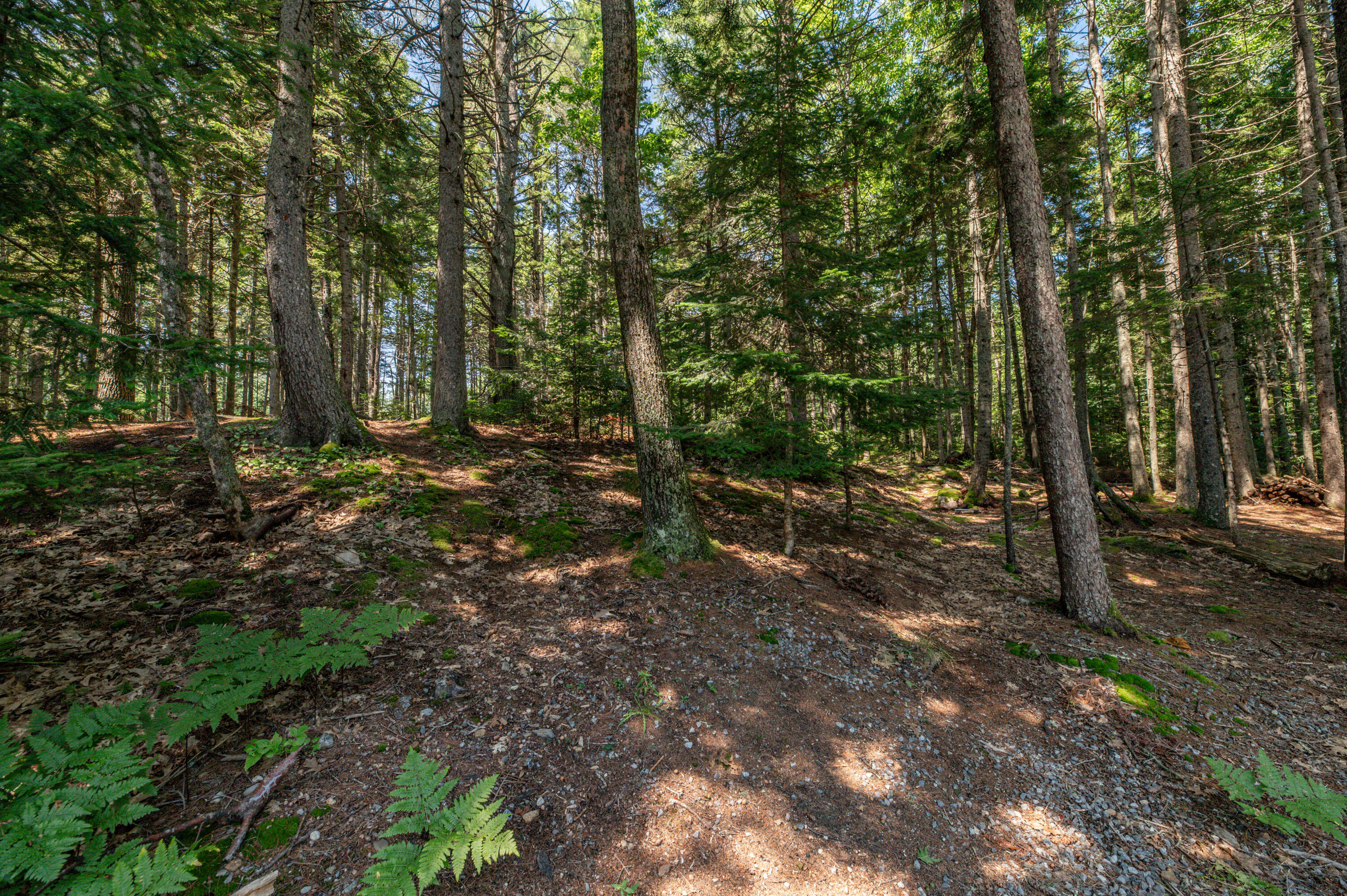 44 Upper Spruce Shore Road Harpswell, ME 04079 - Photo 38 of 82 Exterior46