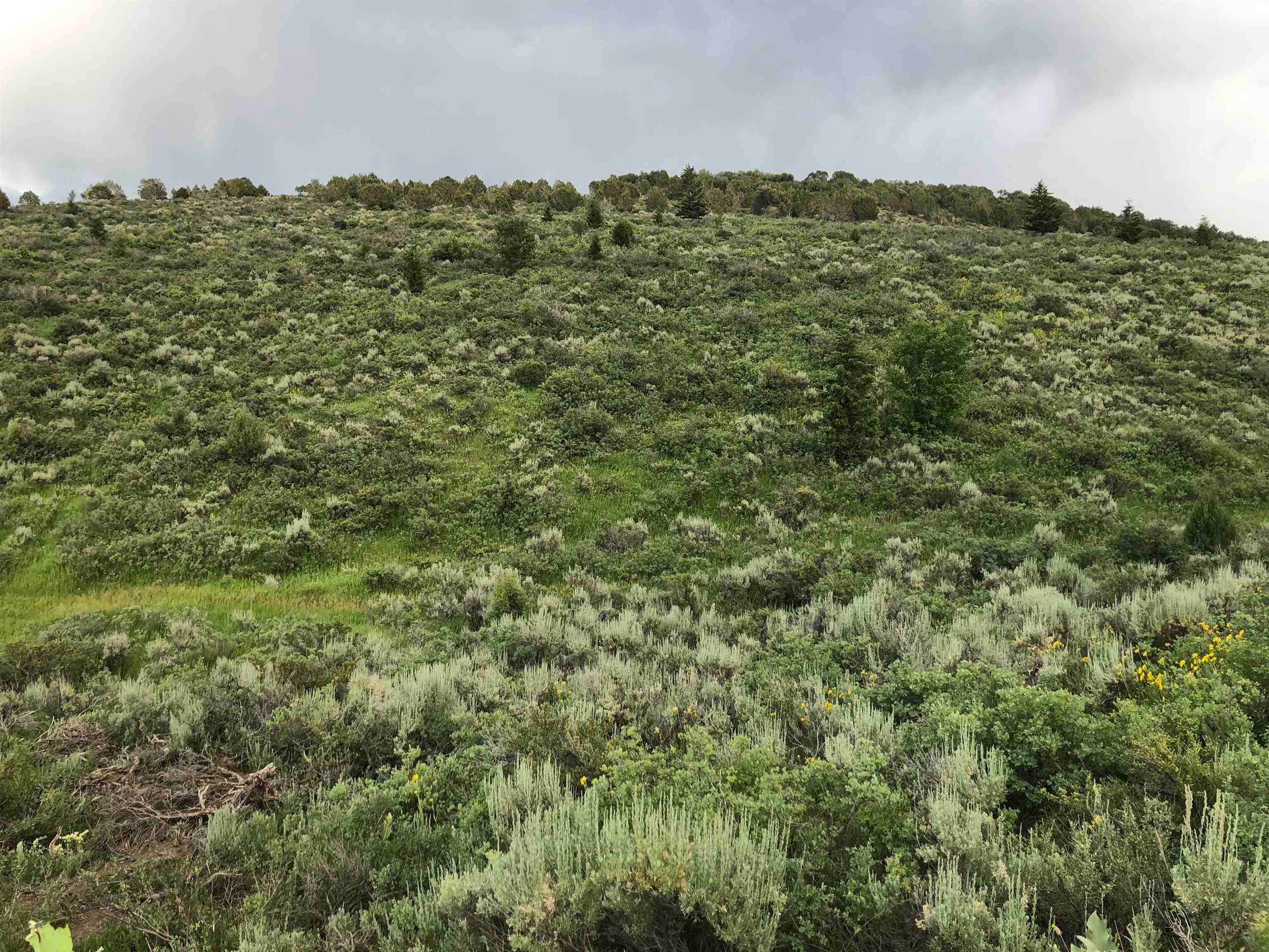 955-943 Hegstrom Road Grace, ID 83241 - Photo 24 of 45 Gallery Image 24