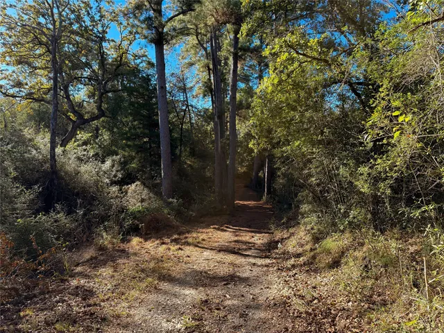 a view of a backyard of the house