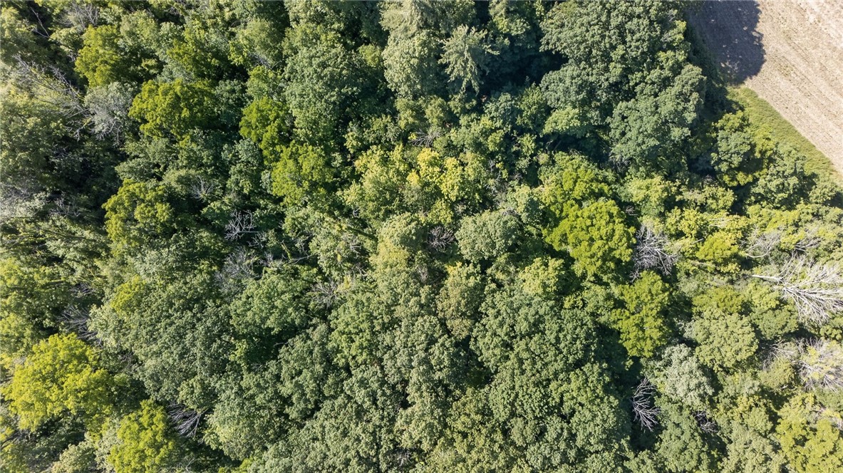 Cramer Road Canandaigua, NY 14424 - Photo 27 of 47