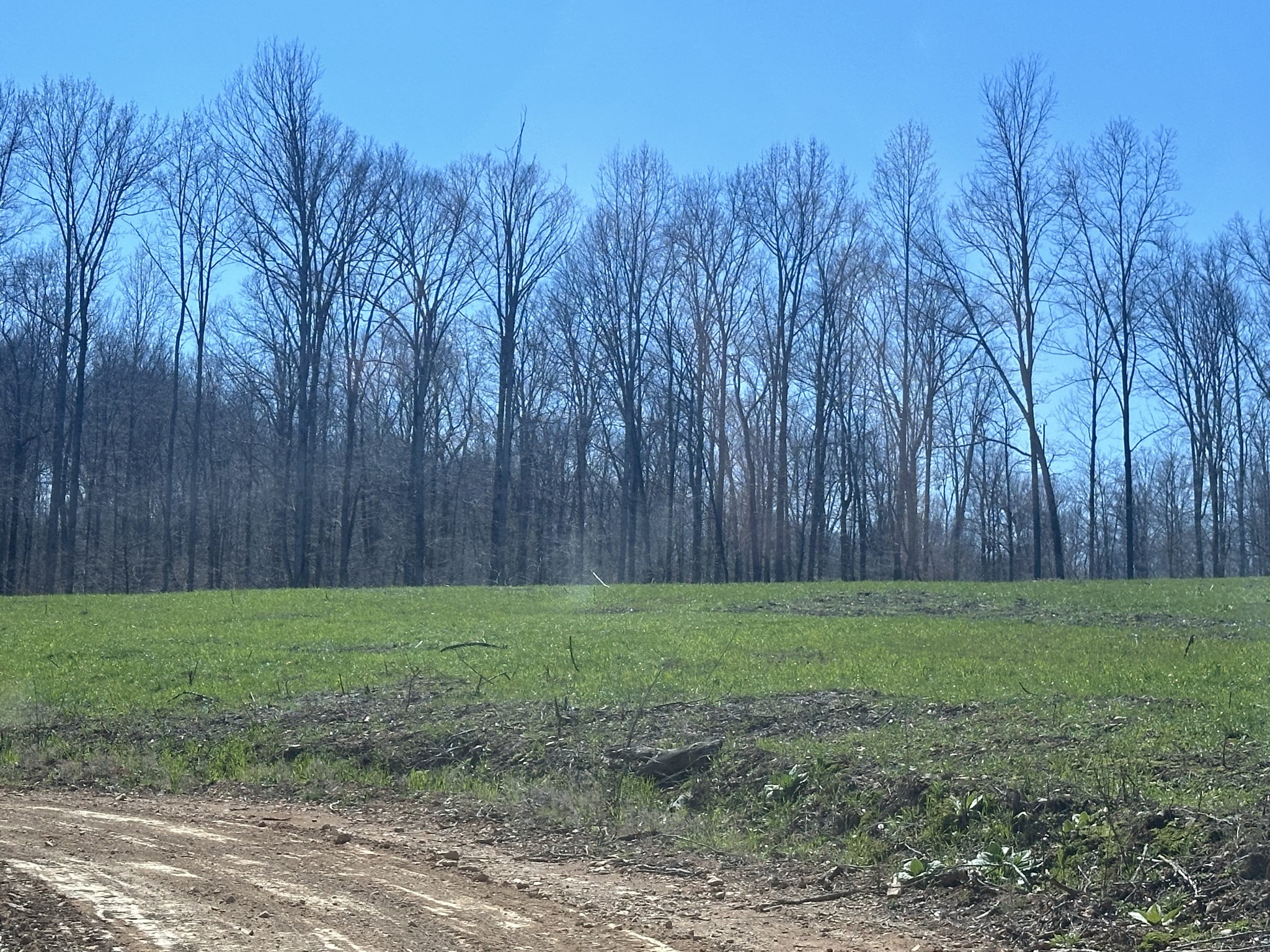 0 White Bluff Road Burns, TN 37029 - Photo 23 of 43 Gallery Image 23