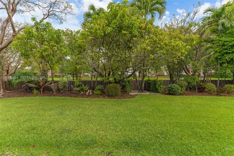 a view of a trees with a big yard