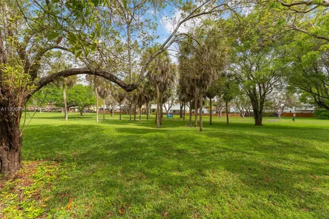 a huge green field with lots of trees
