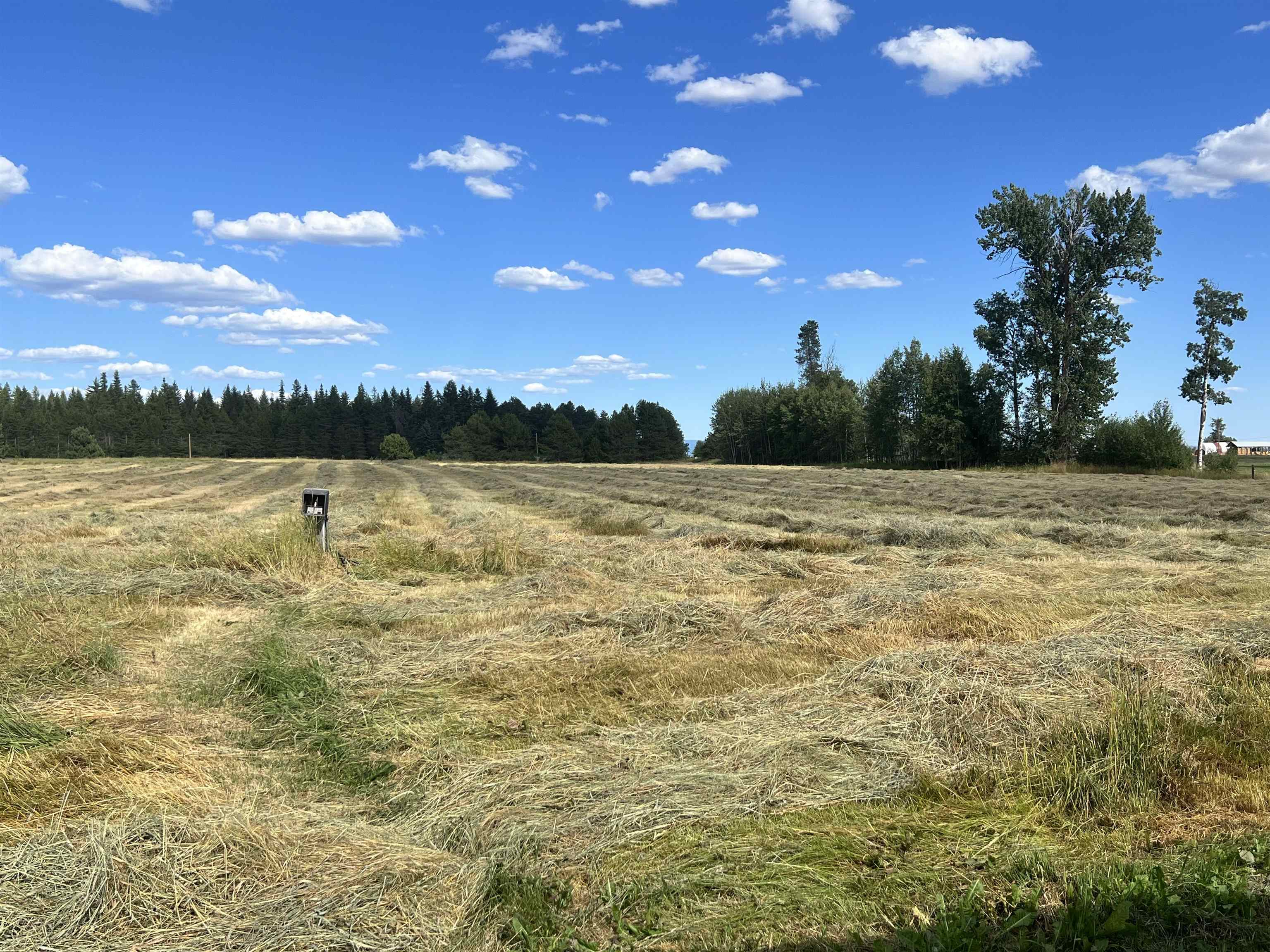 4667 South Swenson Road Clayton, WA 99110 - Photo 3 of 13