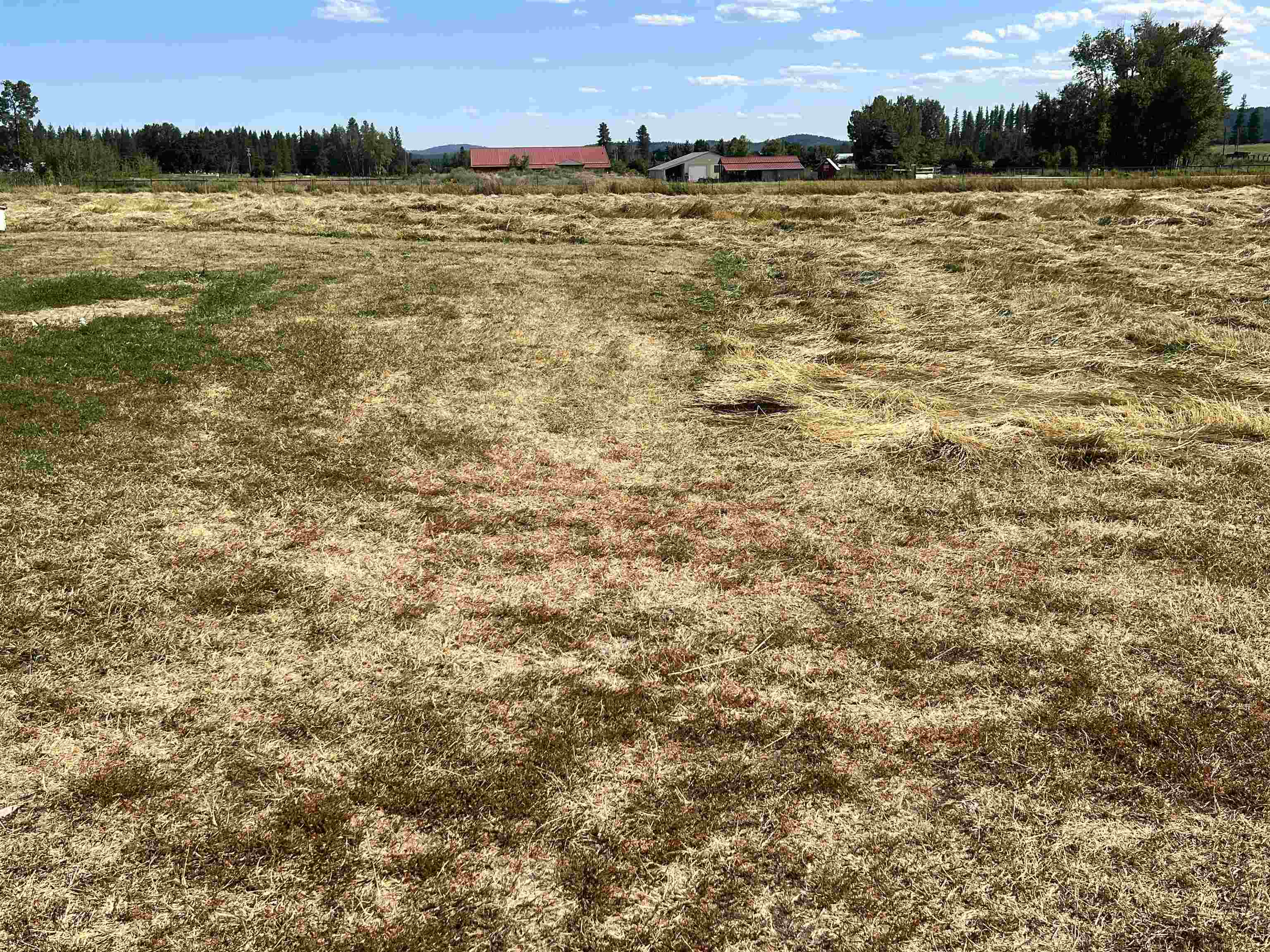 4667 South Swenson Road Clayton, WA 99110 - Photo 7 of 13