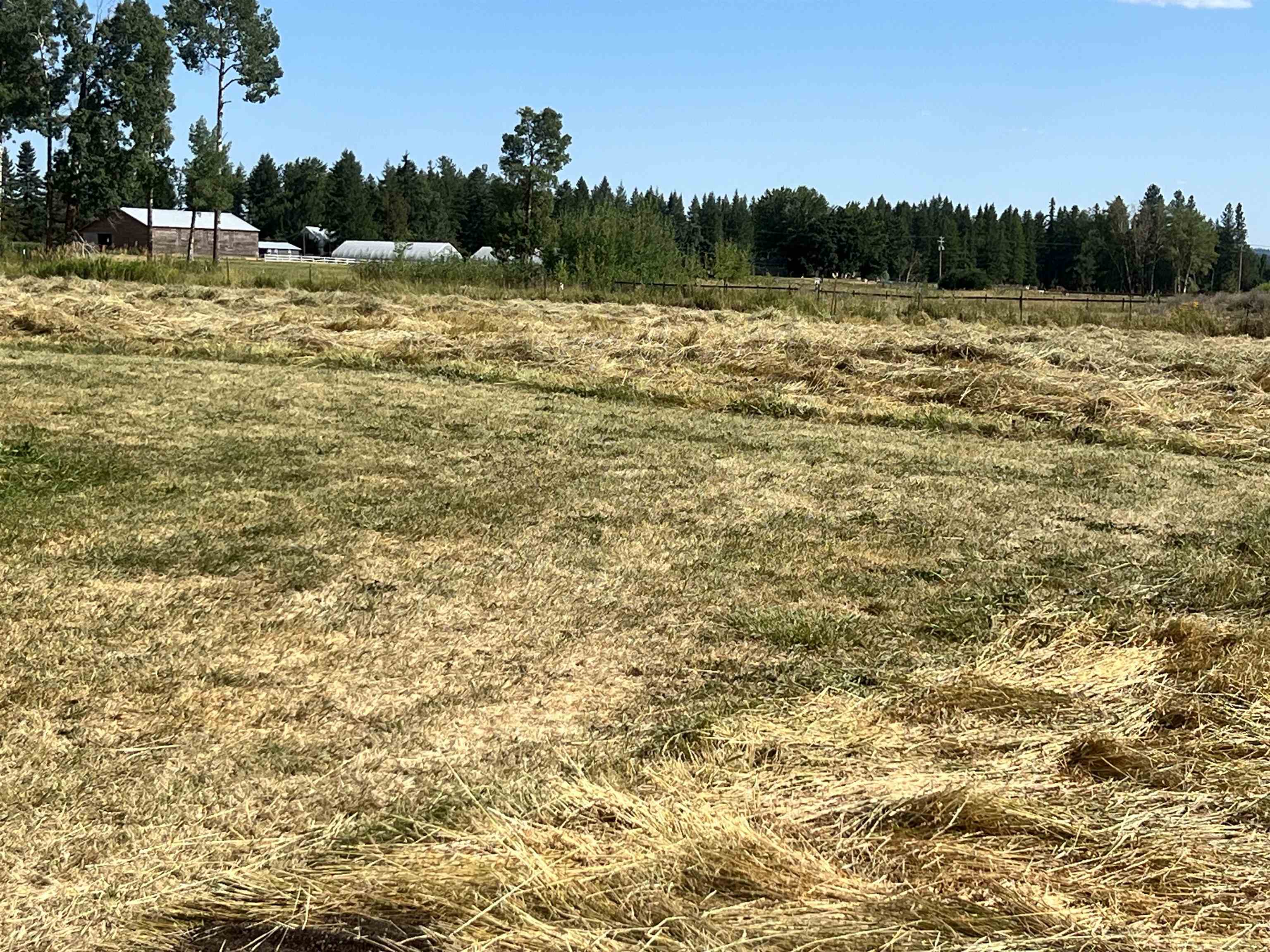 4667 South Swenson Road Clayton, WA 99110 - Photo 8 of 13
