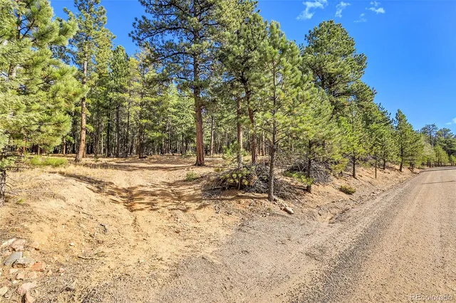 a view of outdoor space with trees