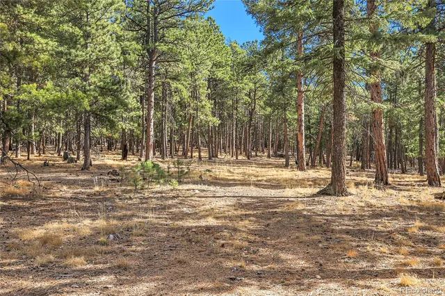 a view of outdoor space with trees