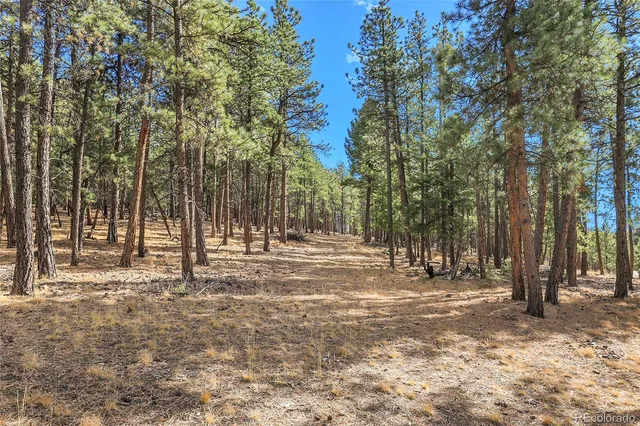 a view of road with trees