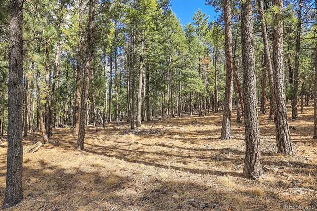 a view of outdoor space with trees