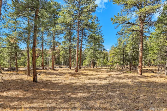 a view of road with trees