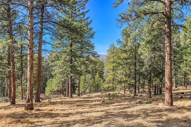 a view of outdoor space with trees