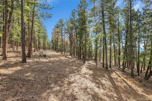 a view of outdoor space with trees